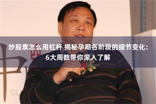 炒股票怎么用杠杆 揭秘孕期各阶段的细节变化：6大周数带你深入了解