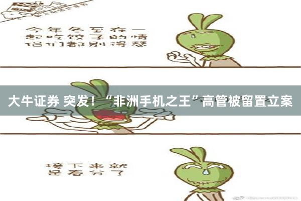 大牛证券 突发！“非洲手机之王”高管被留置立案