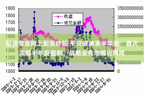 配资专业网上配资炒股 平安健康发半年报：首次实现半年度盈利，战略业务增幅近两成