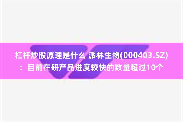 杠杆炒股原理是什么 派林生物(000403.SZ)：目前在研产品进度较快的数量超过10个