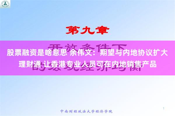 股票融资是啥意思 余伟文：期望与内地协议扩大理财通 让香港专业人员可在内地销售产品