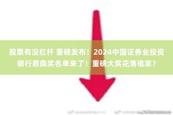 股票有没杠杆 重磅发布！2024中国证券业投资银行君鼎奖名单来了！重磅大奖花落谁家？