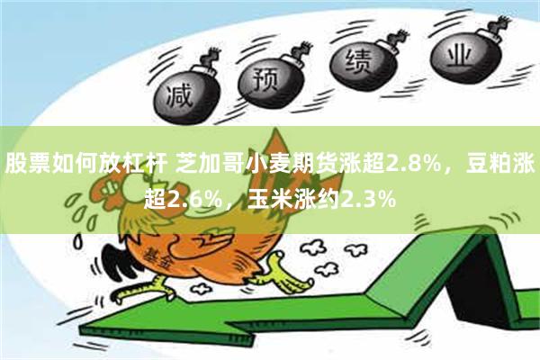 股票如何放杠杆 芝加哥小麦期货涨超2.8%，豆粕涨超2.6%，玉米涨约2.3%